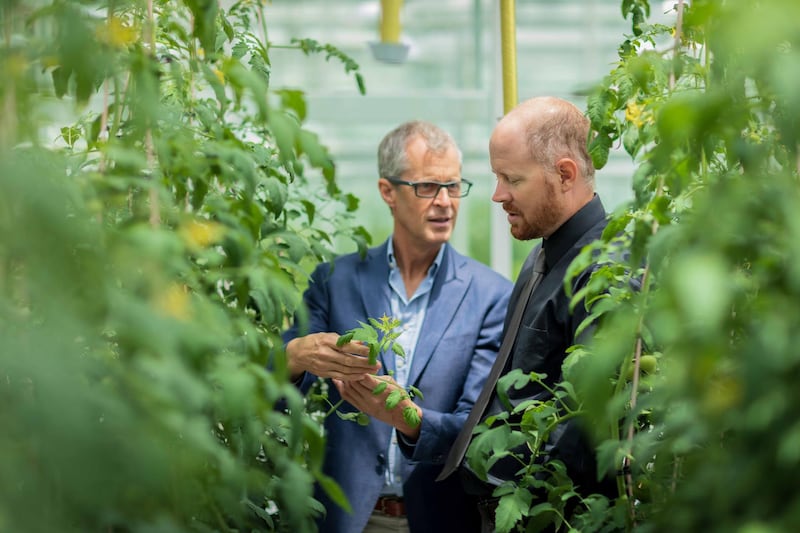 Ryan Lefers, right, co-founder and chief executive of Red Sea Farms with fellow co-founder Mark Tester. Saudi Arabia's Red Sea Farms uses mainly saltwater and sunlight to grow crops sustainably. Courtesy: Red Sea Farms