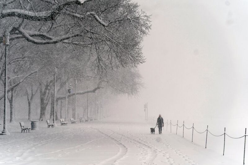 A person walks the dog as snow falls on the National Mall. AP