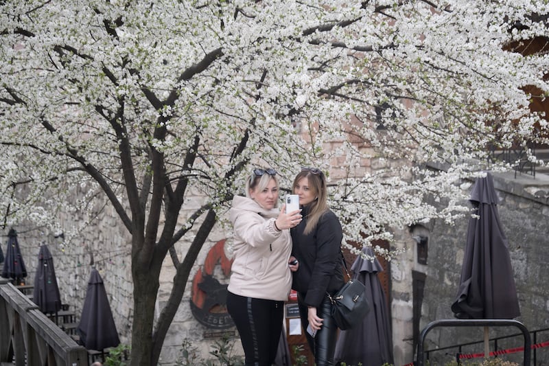 Cherry blossoms outside the 16th-century arsenal building. Photo: Oliver Raw