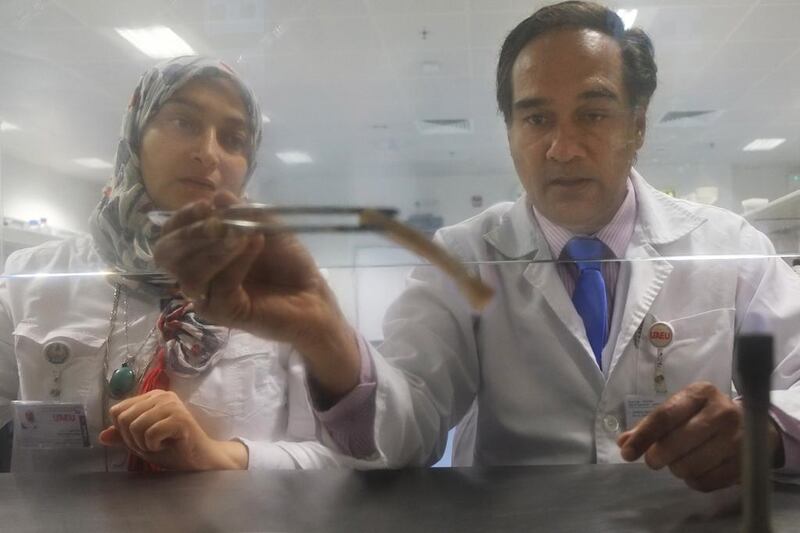 Dr Shyam Kurup, right, an associate professor at UAE University in Al Ain, and Nadia Hassan Tawfik, a molecular biologist, are part of a team that has developed a method of speeding up the propagation of date palm cuttings by dipping them in alcohol and passing them through a naked flame. Delores Johnson / The National