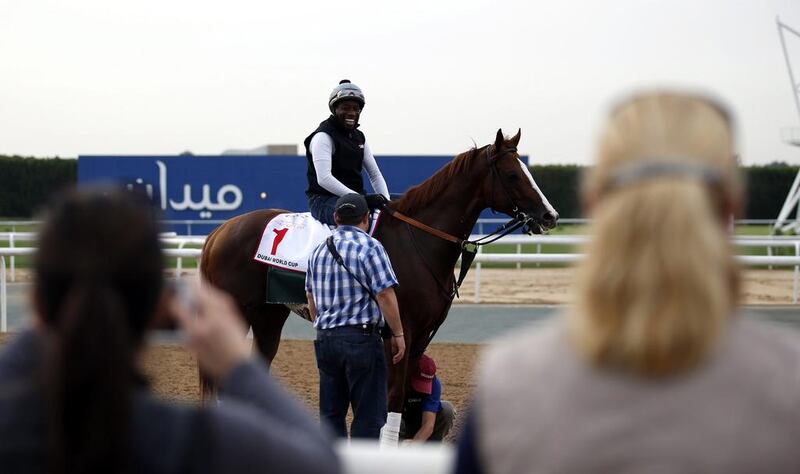 A jockey rides California Chrome, a racehorse from the USA trained by Art Sherman, on the track at Meydan Racecourse during preparations for the Dubai World Cup 2016 in Dubai, United Arab Emirates, 23 March 2016. The 21st edition of the Dubai World Cup will take place on 26 March 2016.  EPA/ALI HAIDER