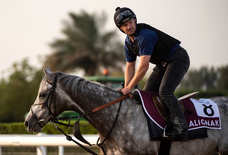 Dubai Gold Cup contender Alignak. AP Photo