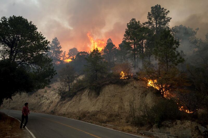 A fire rages near the rural community of Los Lirios, on the border of northern states Coahuila and Nuevo Leon, Mexico. At least 400 people have been evacuated in the area. EPA
