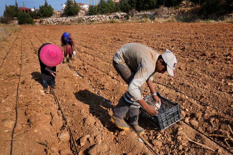 They live without government electricity, water, and services. AP