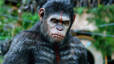 Andy Serkis as Caesar in a scene from the film, "Dawn of the Planet of the Apes."
CREDIT: Courtesy Twentieth Century Fox