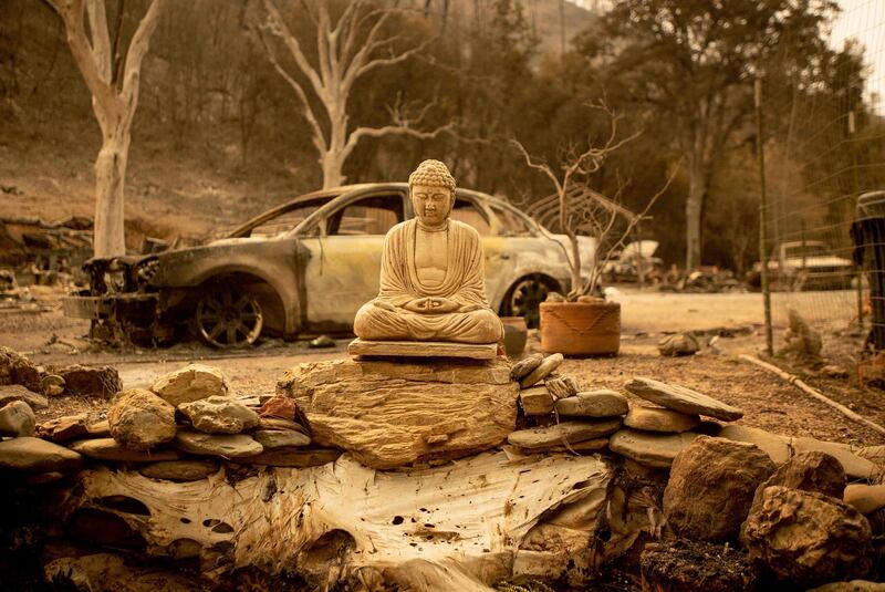 A Buddha statue is seen at a burned home in Spring Valley, near Clearlake Oaks, northern California. Josh Edelson/AFP