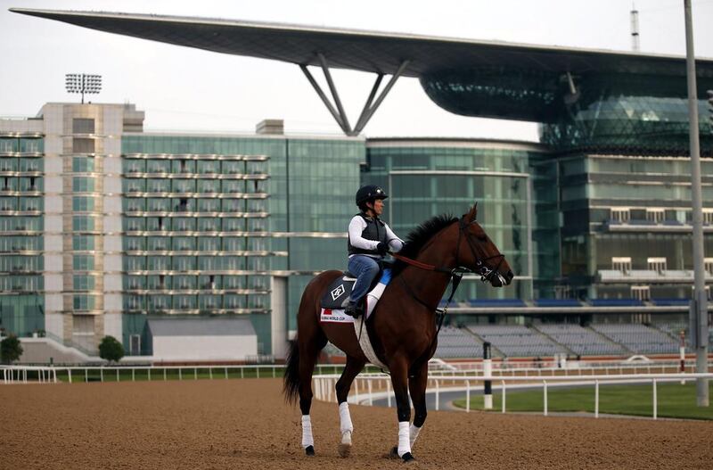 A jockey rides Keen Ice, a racehorse from the USA trained by Dale Romans,  on the track at the Meydan Racecourse during preparations for the Dubai World Cup 2016 in Dubai, United Arab Emirates, 23 March 2016. The 21st edition of the Dubai World Cup will take place on 26 March 2016.  EPA/ALI HAIDER