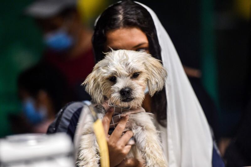 A woman holds her dog at the Barking Lot cafe. AFP