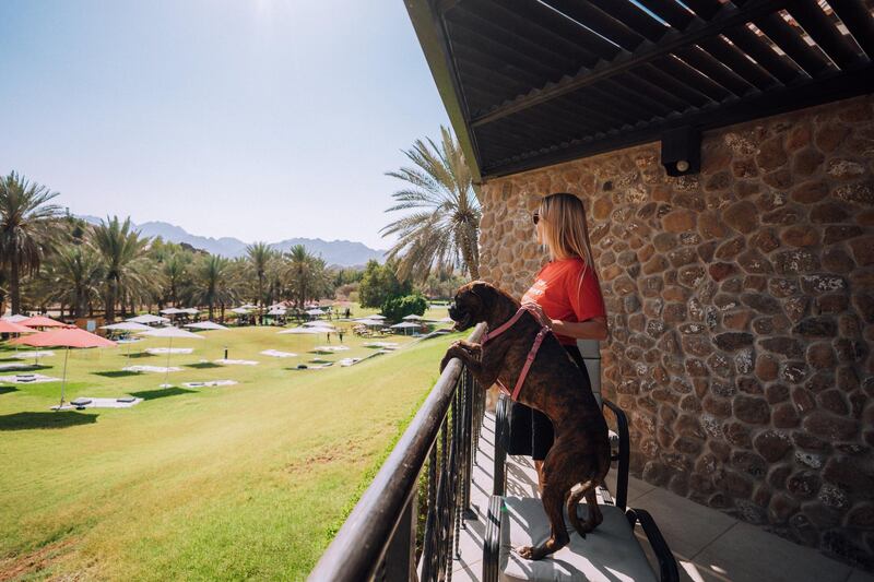Enjoy mountain views of Hatta with your four-legged friend at JA Hatta Fort Hotel