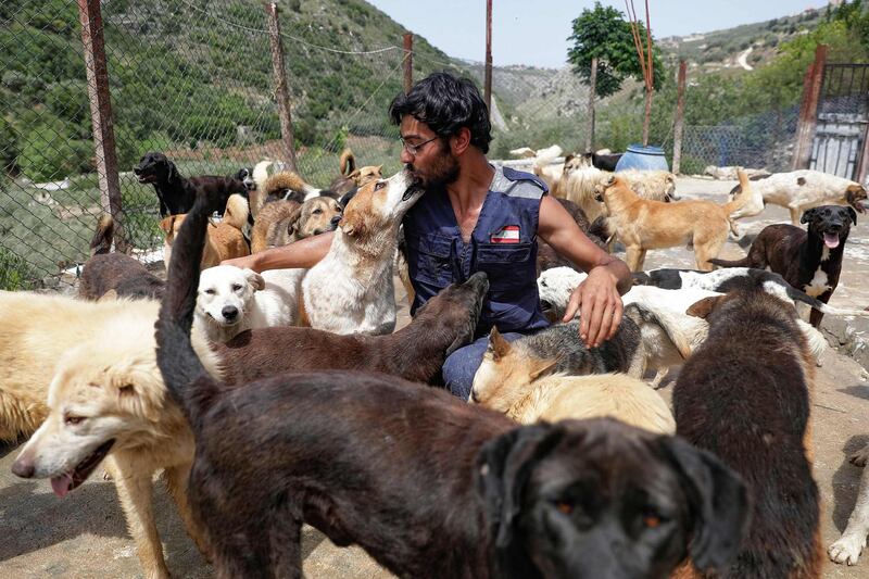 Founder of Woof N' Wags shelter, Joe Okdjian, plays with a blind rescued dog. AFP