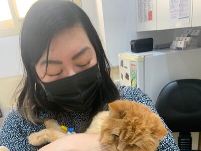 Evelyn Lau with her cat Amy at the veterinary clinic. Evelyn Lau / The National