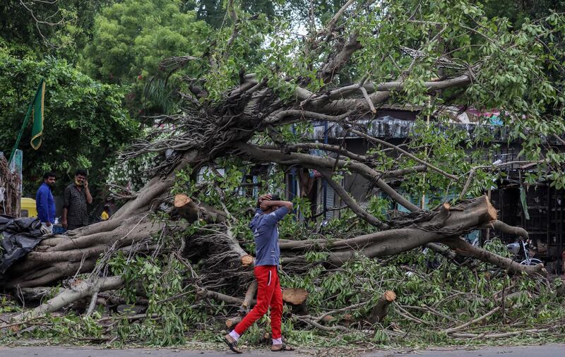 People walk past a tree toppled by Cyclone Tauktae in Ahmedabad, Gujarat, India. EPA