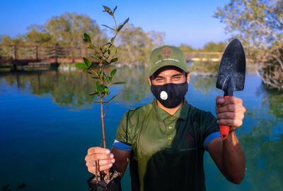 Abu Dhabi, United Arab Emirates, September 23, 2020.  Modar Khaled plants a couple of mangrove trees at Jubail Mangrove Park, Jubail Island, Abu Dhabi.
Victor Besa/The National
Section:  AC
Reporter:  Hayley Skirka