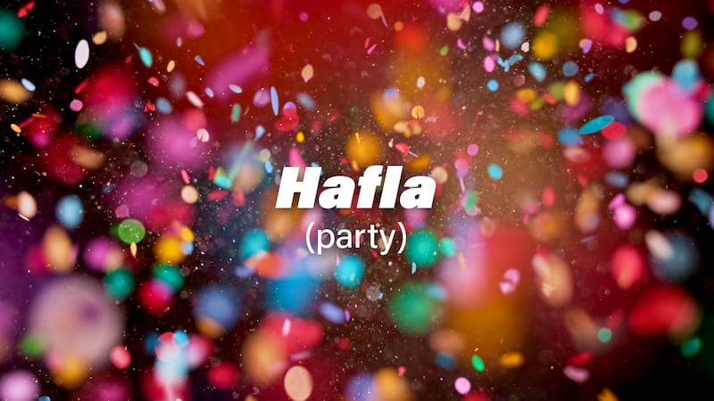Hafla is the Arabic translation for party