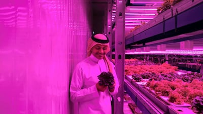 The UAE has taken a leading role in promoting climate-friendly farming. Omar Al Jundi, pictured here in Al Quoz, Dubai, is the founder and chief executive of Badia Farms, the region’s first vertical farm. Reem Mohammed / The National