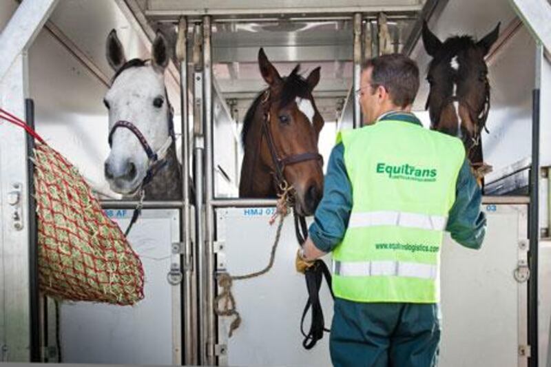 Ground staff at airports realise that horses have to be loaded on a plane with a great deal of care as they are not just any cargo.