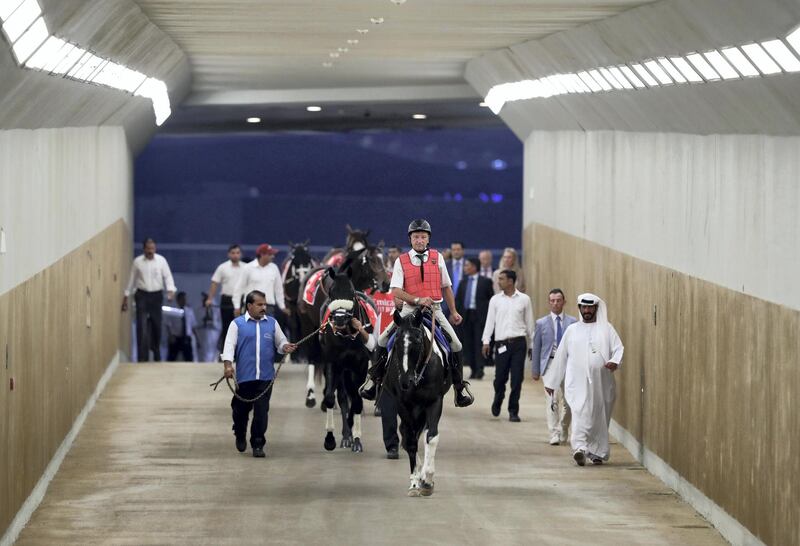 Dubai, United Arab Emirates - October 24, 2019: The horses make their way to the parade ring before the first race on the opening meeting of the new season. Thursday the 24th of October 2019. Meydan Racecourse, Dubai. Chris Whiteoak / The National