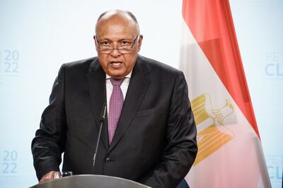 Egyptian Foreign Minister Sameh Shoukry addresses the Petersberg Climate Dialogue. EPA