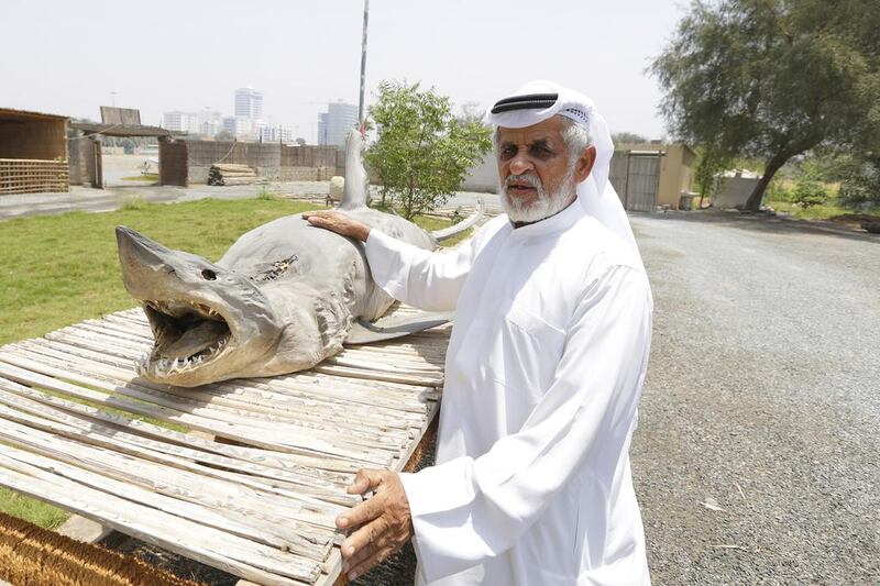 Abdullah Al Ali, 70, displays a mummified shark at his heritage village in Fujairah. Jeffrey E Biteng / The National 