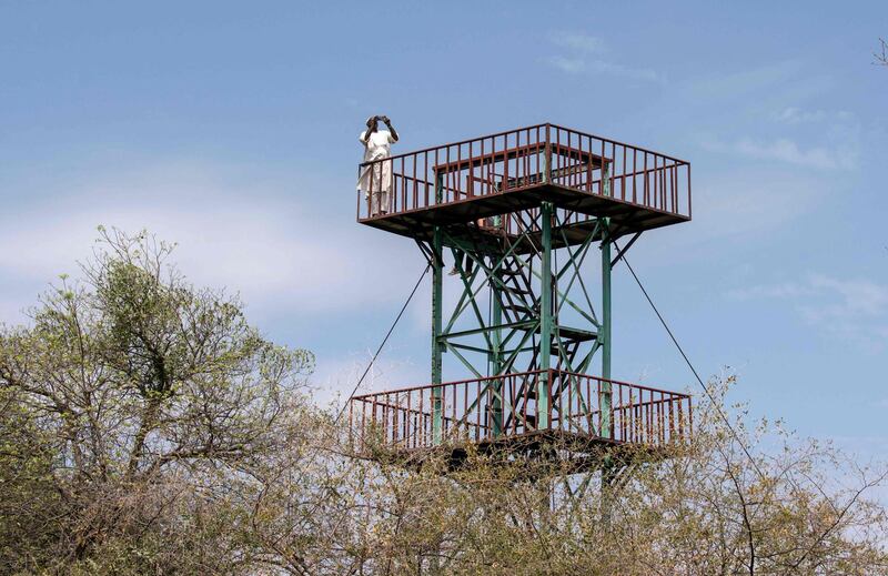 A ranger on observation duty from a watchtower at Dinder National Park in Sudan. The reserve is spread over more than 10,000 square kilometres and boasts the country's most diverse wildlife, but its rangers face a daily battle to protect it as human encroachment increases. AFP