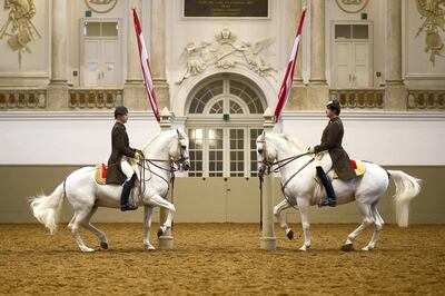 'The performances are of the highest standard' – The Spanish Riding School