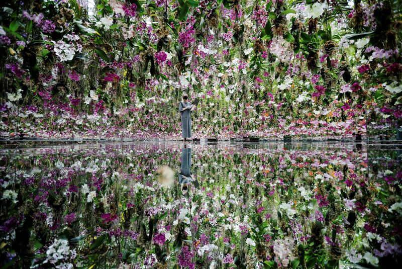 A member of staff stands inside the Floating Flower Garden exhibit at teamLab Planets. The museum, in Tokyo, Japan, explores architecture, nature and the future of cities through a series of photogenic walk-through digital displays. Reuters