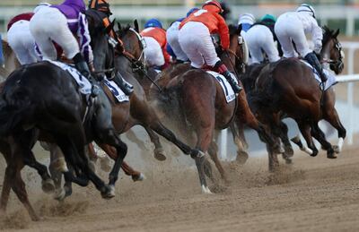 Horse Racing - Dubai World Cup - Meydan Racecourse, Dubai, United Arab Emirates - March 30, 2019  Superior ridden by Connor Beasley during the UAE Derby Sponsored By Saeed & Mohammed Al Naboodah Group  REUTERS/Ahmed Jadallah