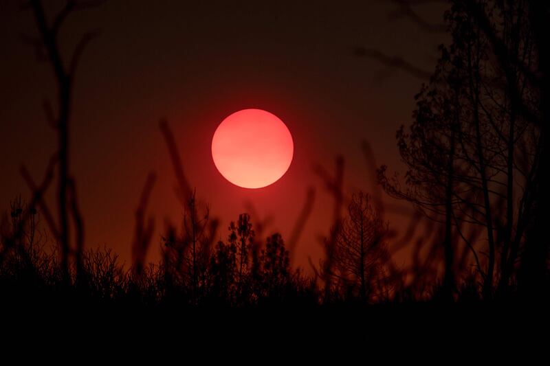 Burnt trees stand as the sun sets in a smokey skyline in Mariposa, California. Josh Edelson / AFP