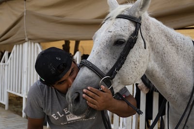 A rescue horse at DXB Horseriding