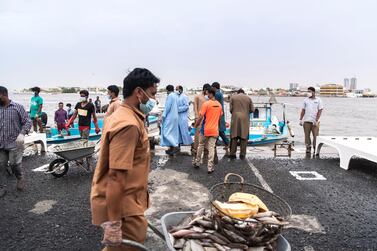 The Ajman fish market has remained open through the pandemic and daily auctions continue. Reem Mohammed / The National