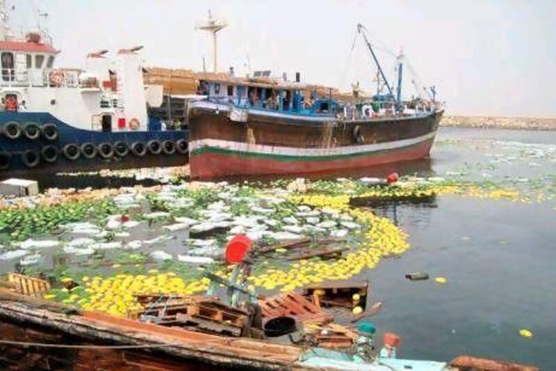 A boat carrying 30 tonnes of melons capsized in Al Hamriya Port. Dubai Municipality only finished fishing out the melons today. Courtesy Dubai Municipality