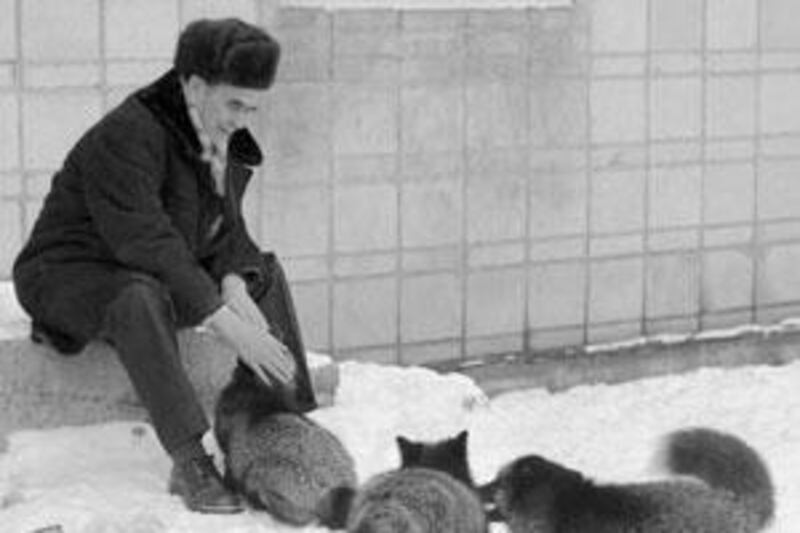 Dmitry Belyaev, above, found that within four generations of breeding silver foxes, some of the animals began wagging their tails.