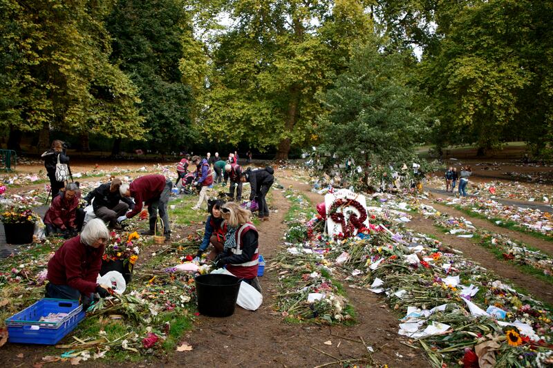 Volunteers begin to clear flowers left for Britain's Queen Elizabeth II from Green Park, one week after her state funeral in London. The flowers will be turned into compost. AP