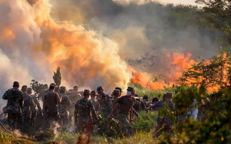 Firefighters and soldiers try to extinguish a fire at the Guasu Metropolitan Park in Luque, Paraguay.  AFP