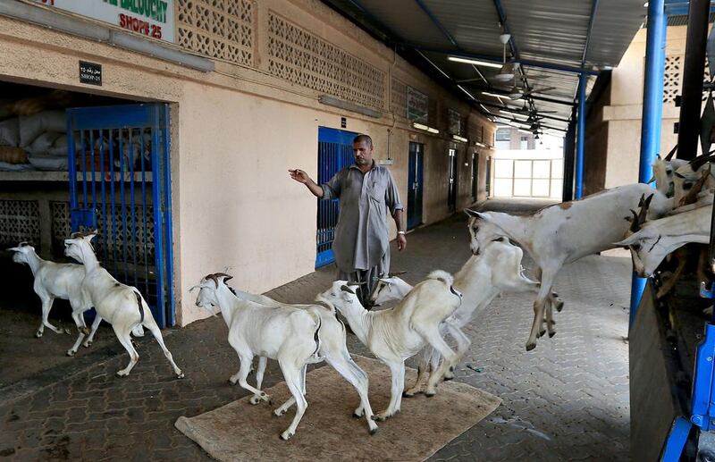 A shortage of coveted Jaziri and Kashmiri lambs from Iran and India has sent prices soaring in the livestock market at Mina Zayed in Abu Dhabi, with demand high for the Eid Al Fitr holiday, when up to 55,000 animals are expected to be slaughtered for celebratory feasts. Ravindranath K / The National