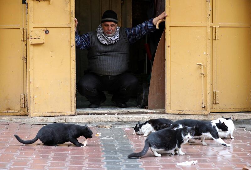 A Palestinian feeds cats on a street during rainfall in the Old City of Hebron, West Bank.  EPA
