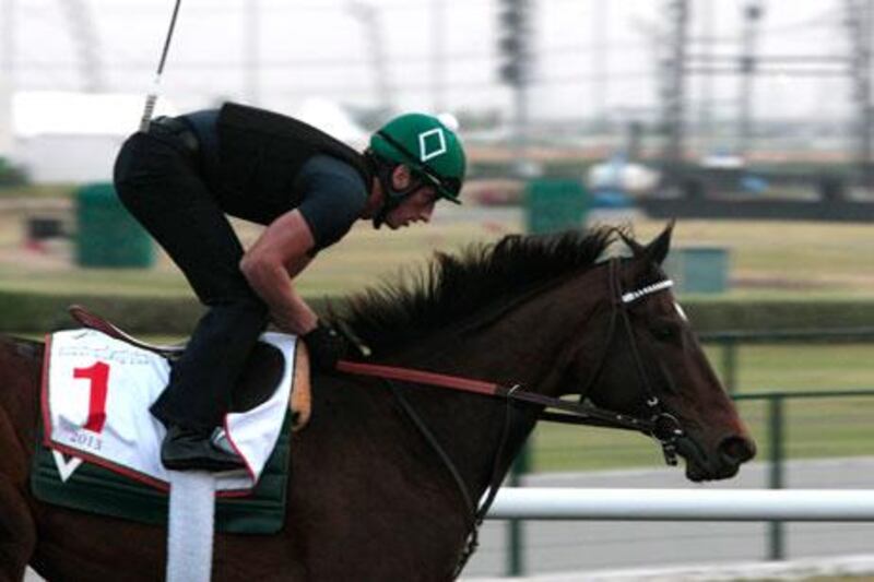 Royal Delta won the Beldame last year by nine and half lengths. Jeffrey E Biteng / The National
