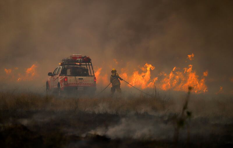 Firefighters battle a blaze as  it consumes trees and pastures in Corrientes province, Argentina. Reuters