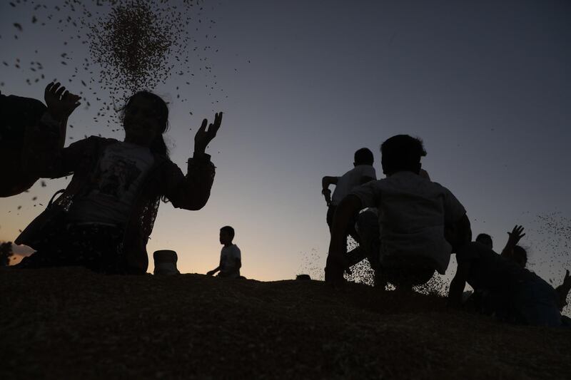 Palestinian children play with wheat grains at the festival near the West Bank city of Jenin, which features wheat exhibits, traditional cooking and folk dancing. EPA