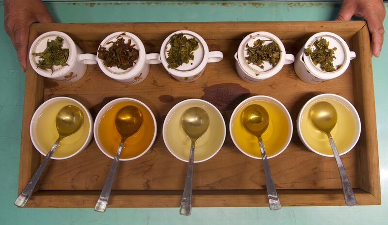 Darjeeling produces teas throughout the year. The first flush or the spring tea is the premium tea. It is pale and light and is harvested in March
