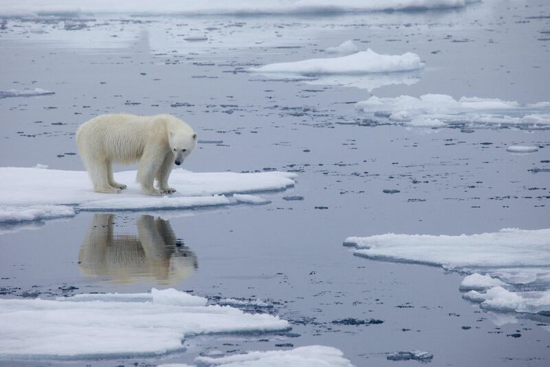 (FILES) This file handout photo made available on July 17, 2020 by Polar Bears International shows a polar bear standing on melting sea ice in Svalbard, Norway, in 2013. President Joe Biden hopes to give a shot of adrenaline to the planet's sluggish fight against climate change with an Earth Day summit but a question lingers -- can the United States be trusted to lead? 
 - RESTRICTED TO EDITORIAL USE - MANDATORY CREDIT "AFP PHOTO / Polar Bears International / Kt MILLER" - NO MARKETING - NO ADVERTISING CAMPAIGNS - DISTRIBUTED AS A SERVICE TO CLIENTS
 / AFP / POLAR BEARS INTERNATIONAL / POLAR BEARS INTERNATIONAL / POLAR BEARS INTERNATIONAL / POLAR BEARS INTERNATIONAL / Kt MILLER / RESTRICTED TO EDITORIAL USE - MANDATORY CREDIT "AFP PHOTO / Polar Bears International / Kt MILLER" - NO MARKETING - NO ADVERTISING CAMPAIGNS - DISTRIBUTED AS A SERVICE TO CLIENTS
