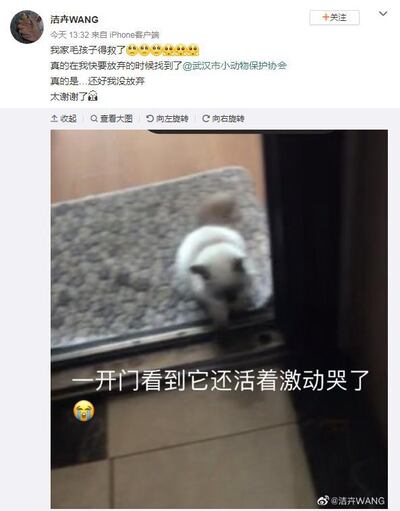 Wuhan residents have stepped up to feed stranded pets. Sina Weibo