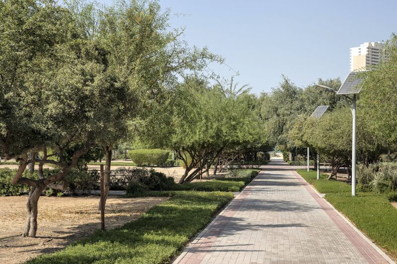 DUBAI UNITED ARAB EMIRATES. 12 NOVEMBER 2020. Community guide: Jumeirah Village Circle. Hafla park, one of the many parks in JVC. (Photo: Antonie Robertson/The National) Journalist: Sarwat Nasir. Section: Business.
