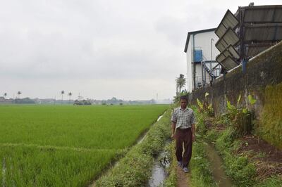This picture taken on February 5, 2018 shows farmer Yusuf Supriyadi walking between paddy fields and a factory in Majalaya, West Java. 
Now faced with a health emergency after decades of failed clean-up efforts, Jakarta is stepping in with a seemingly impossible goal: make the Citarum river's water drinkable by 2025. / AFP PHOTO / Adek BERRY / TO GO WITH Indonesia-environment-water-pollution-waste by Dessy SAGITA