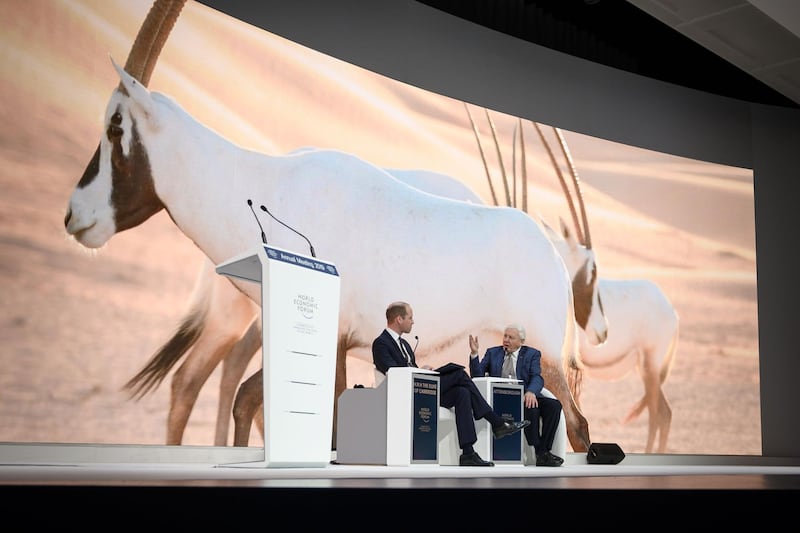 The Duke of Cambridge and Sir David Attenborough speak on stage. AFP