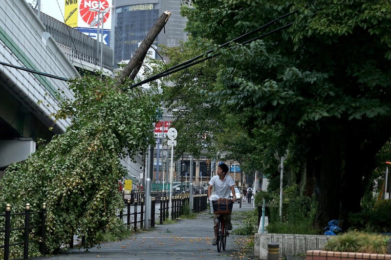 A man rides his bicycle under the fallen branch of a tree hanging on wires after typhoon Jebi's passage in Osaka, western Japan. EPA