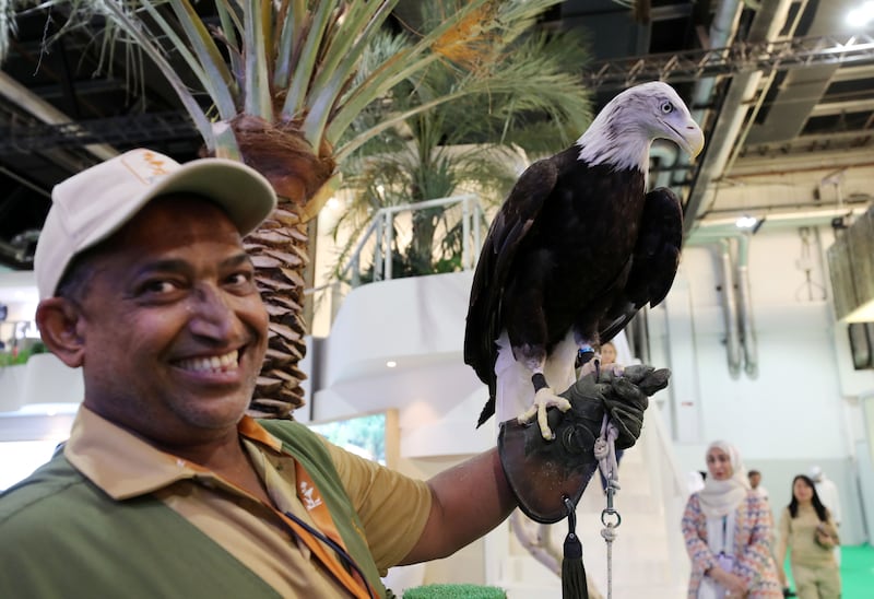 A bald eagle at the Experience Abu Dhabi stand at the conference, which runs from May 1 to May 4. Chris Whiteoak / The National