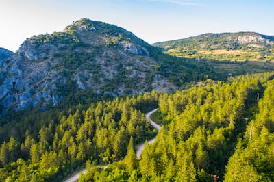 Discover the Horma Canyons in the Kure Mountains National Park. Photo: Turkiye Tourism Promotion and Development Agency