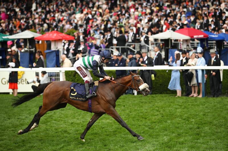 Oisin Murphy rides Dashing Willoughby to victory in the Queen's Vase race. Getty Images