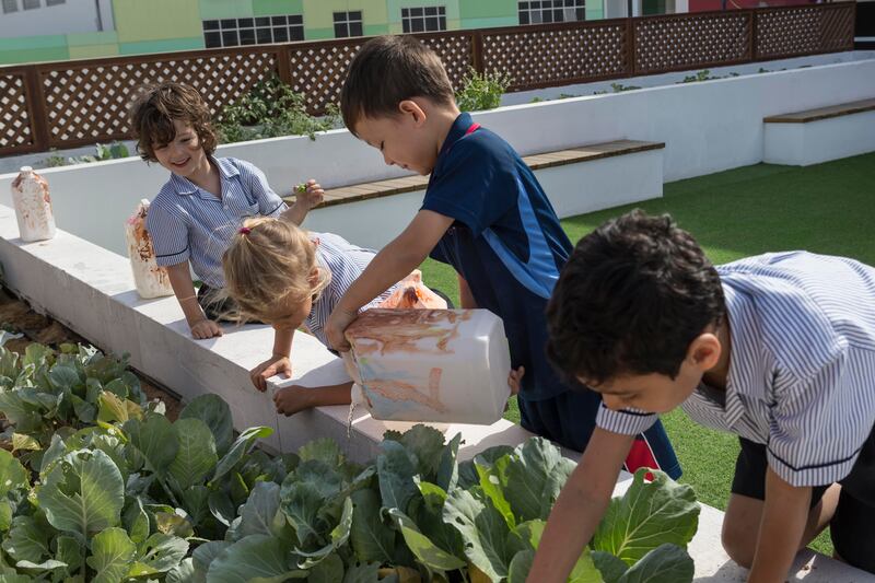 DUBAI, UNITED ARAB EMIRATES, 24 JANUARY 2017. The Dubai British School garden where children take part in growing and planting different plants and vegetables. The project is part of a campaign to encourage healthy eating and to apply what the children have learnt in class. Front to back: Muhammad Pattal, Peter Brown, Anastasia Gerasimovich and Indiana Kerrigan do some watering and weeding of the plants. (Photo: Antonie Robertson/The National) ID: 30162. Journalist: Nadeem Hanif. Section: National. *** Local Caption ***  AR_2401_British_School_Garden-04.JPG